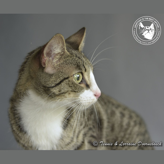 Photo of Dolly Parton