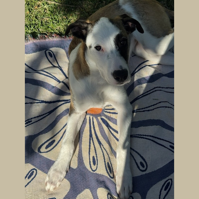 Photo of Isla