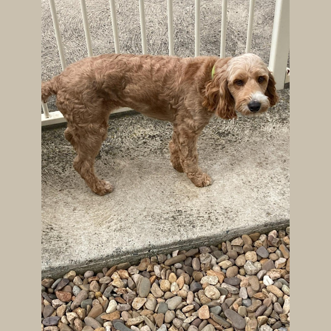 Photo of Maicie