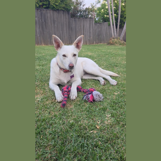 Photo of Snowy
