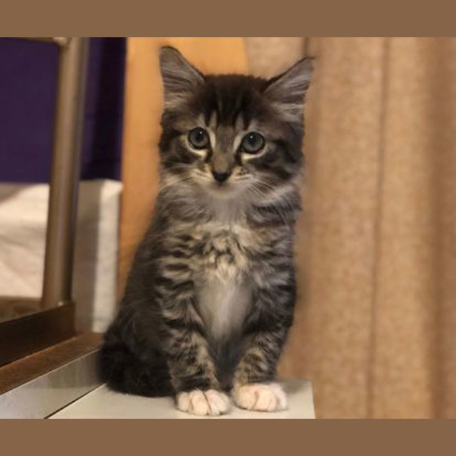 Photo of Timmy