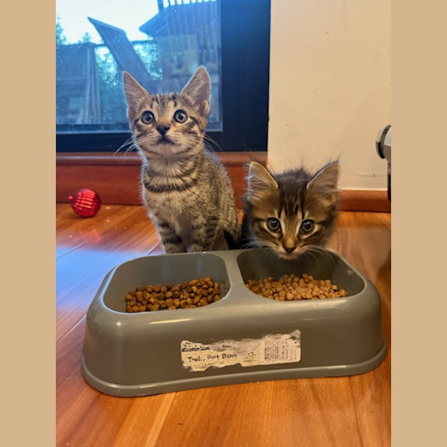 Photo of Betty Lou Who