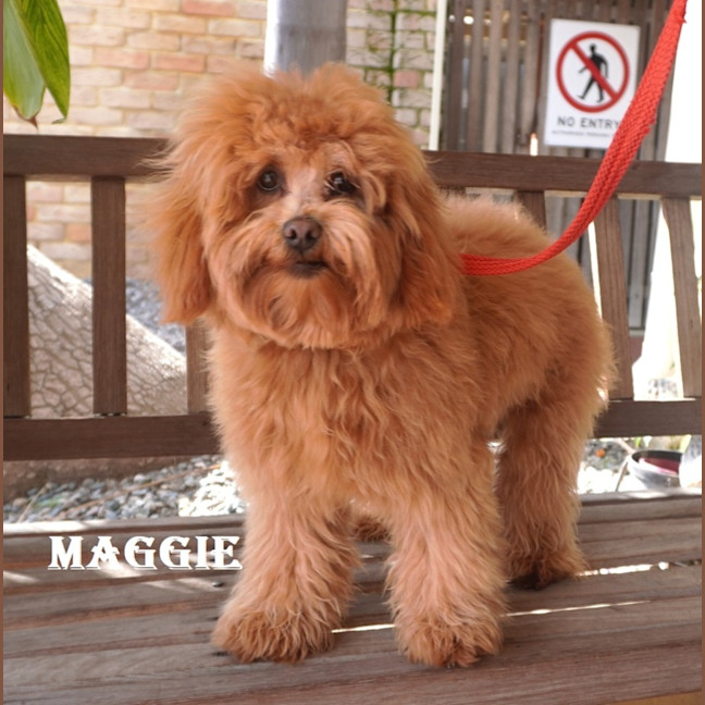 Photo of Maggie