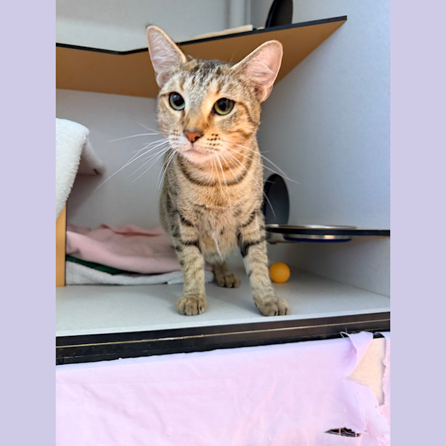 Photo of Spice