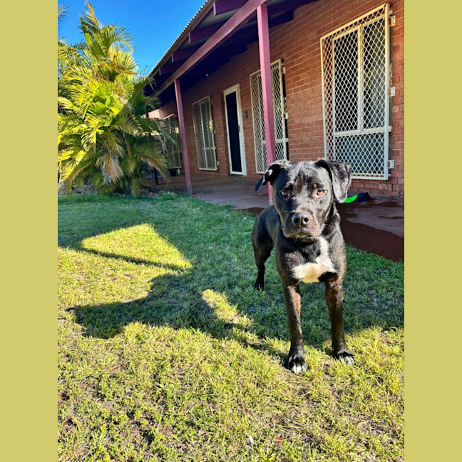 Photo of Forrest (Jinx)