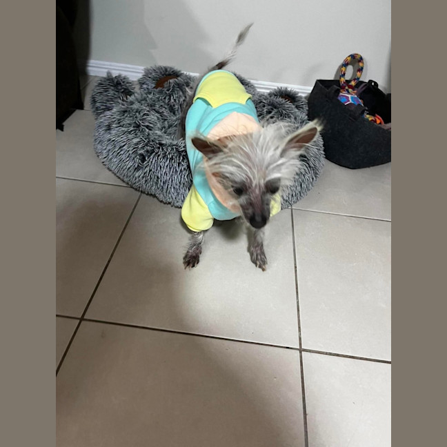 Photo of Frankie