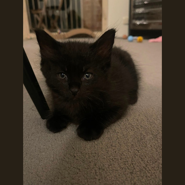 Photo of Storm