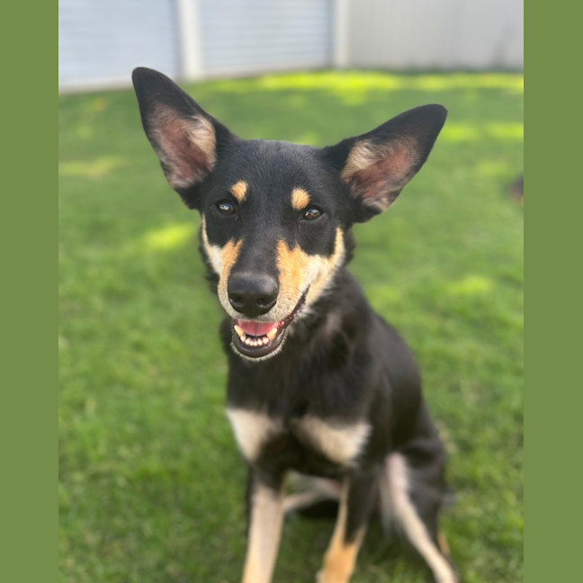 Photo of Matilda 