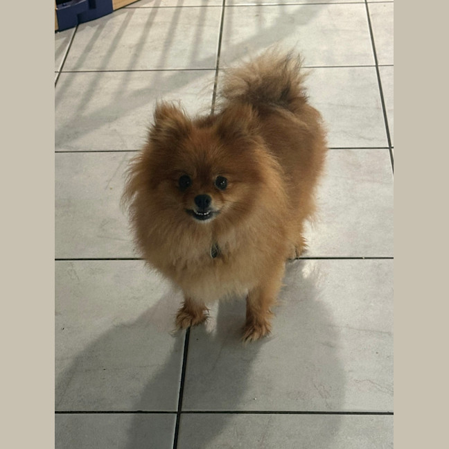 Photo of Pinky