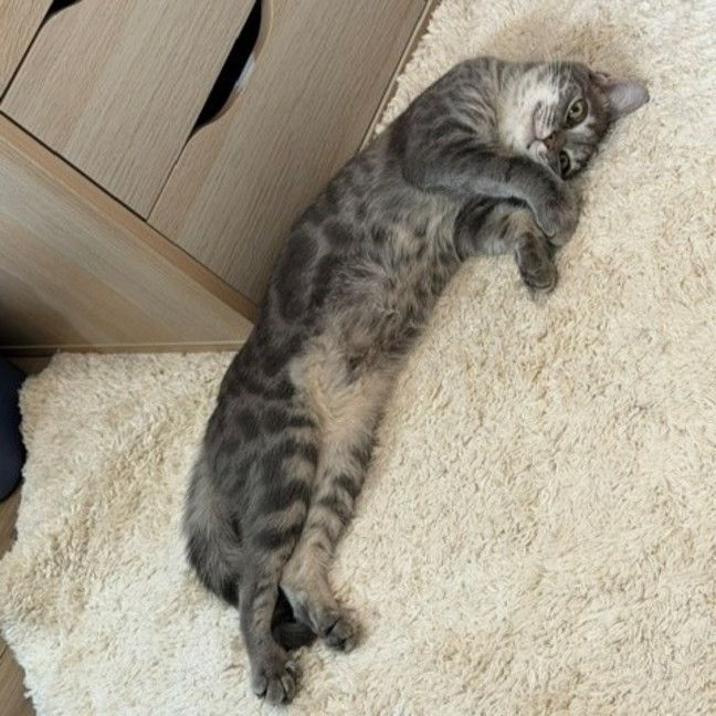 Photo of Hazel
