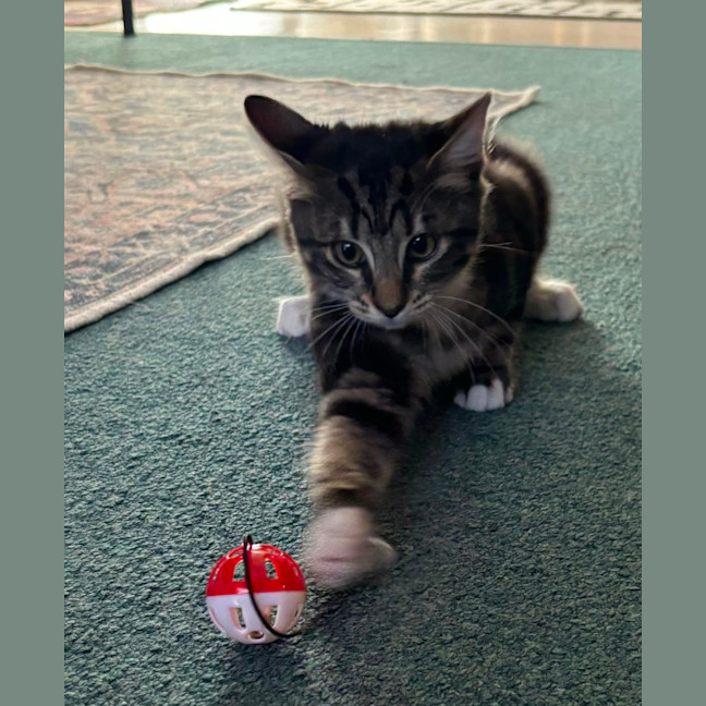 Photo of Marble & Pebbles 