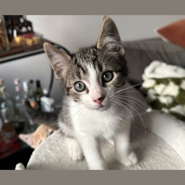 Photo of Storm