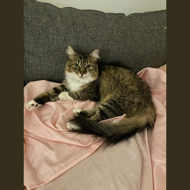 Photo of Diva