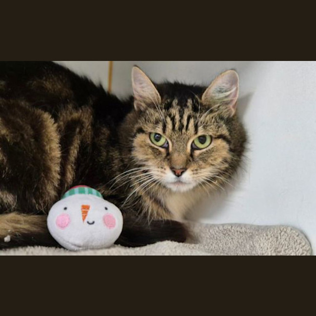 Photo of Ezi