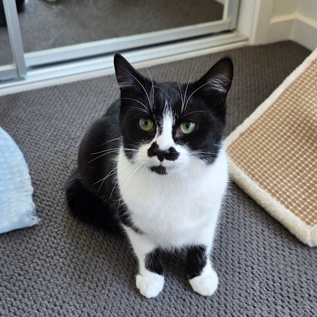 Photo of Sugar