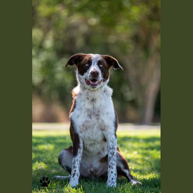 Photo of Mack