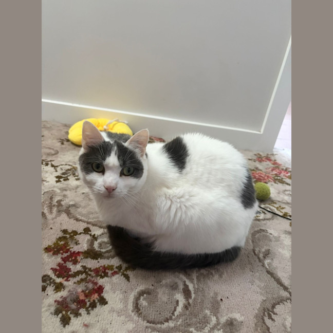 Photo of Kiki