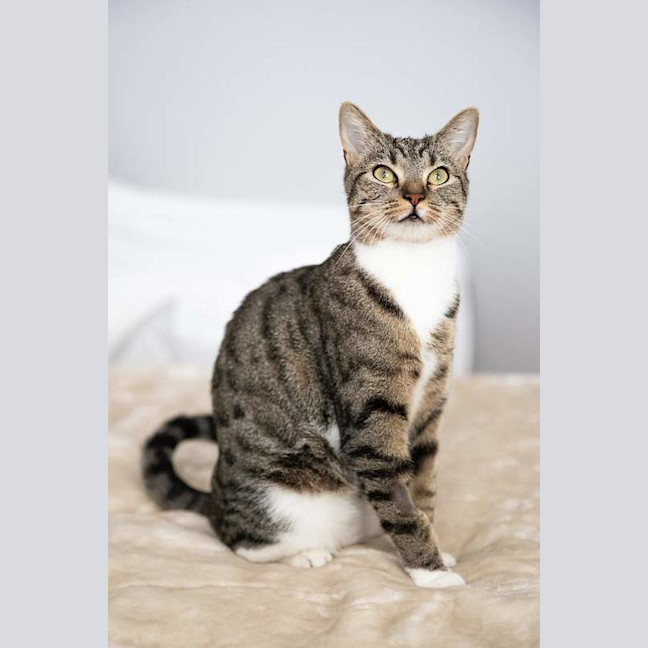 Photo of Nala