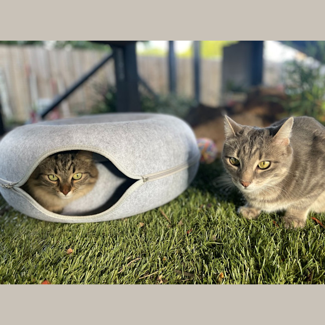 Photo of Lexi & Cara