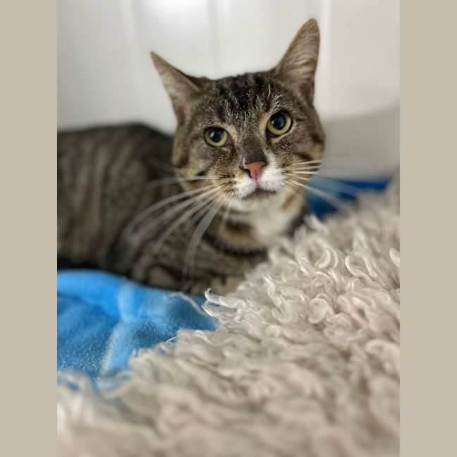 Photo of Louie