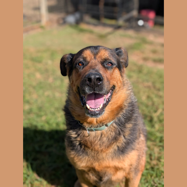 Photo of Max