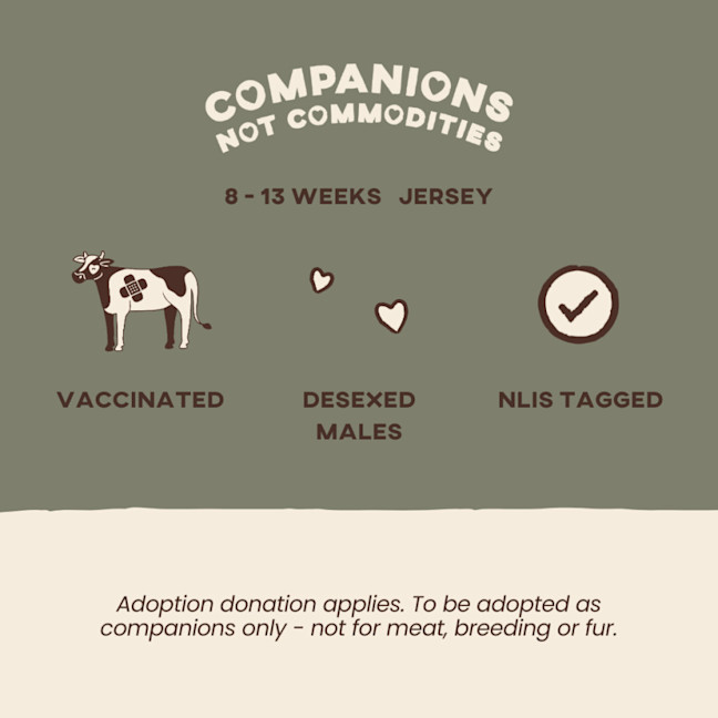 Photo of Bowen & Albert