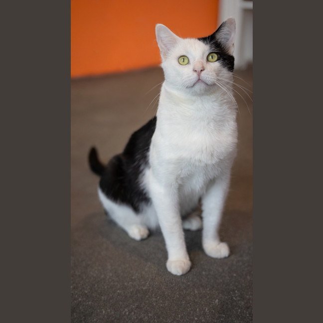 Photo of 🤗 Snugglepants 🤗👖