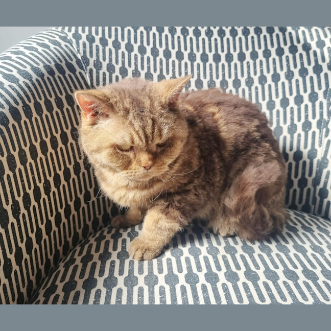 Photo of 🥜Carmen🥜