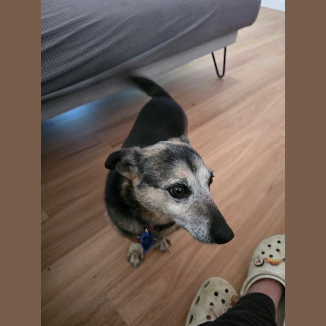 Photo of Barney Lozano