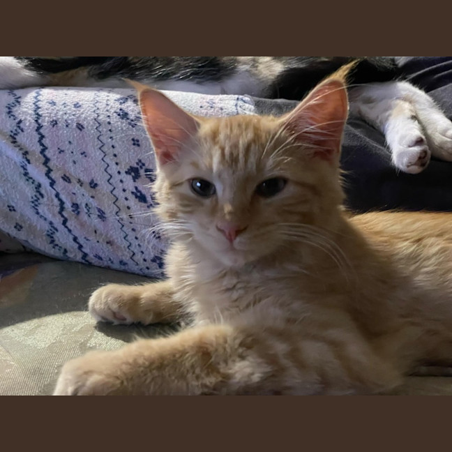 Photo of Weasley