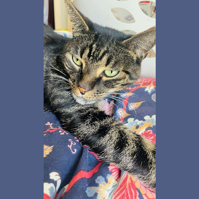 Photo of Boots