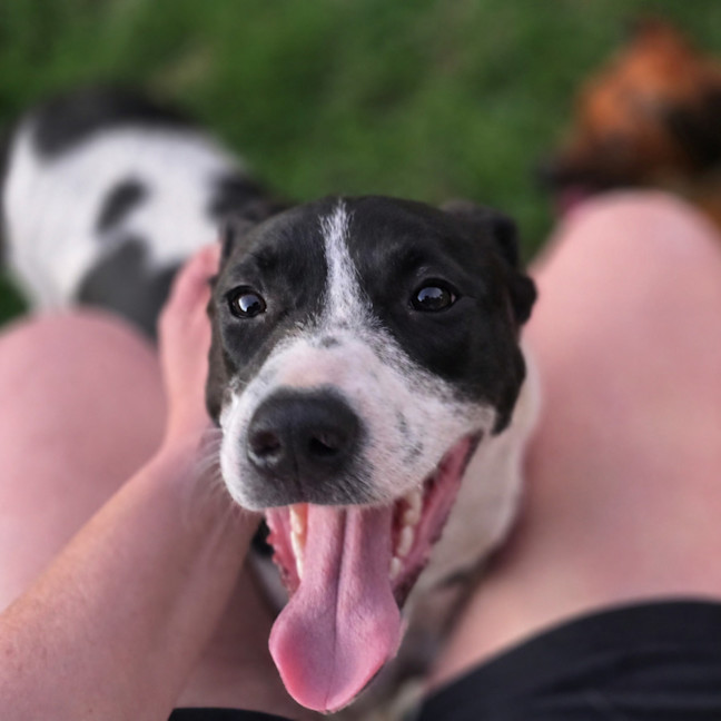 Photo of Maizzy