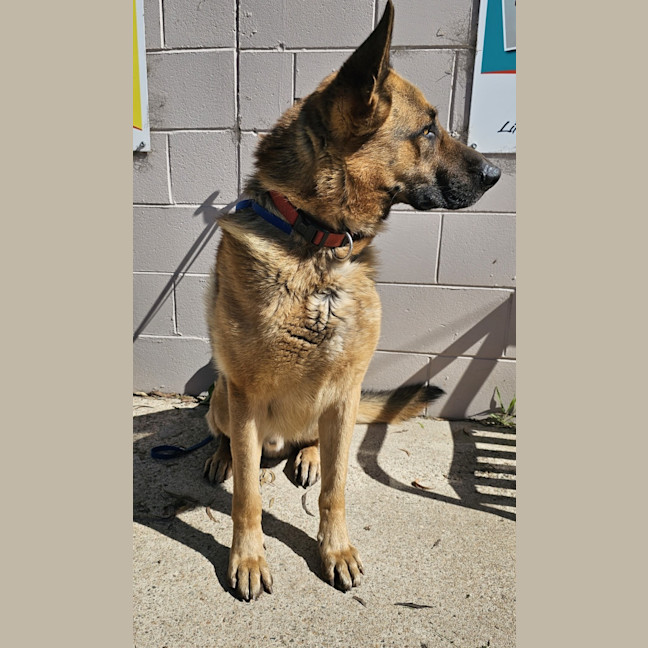 Photo of Ralph