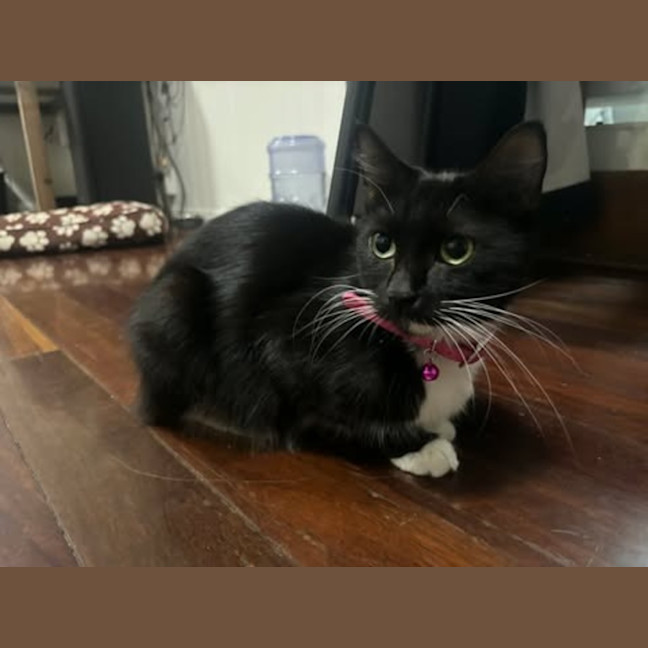 Photo of Della