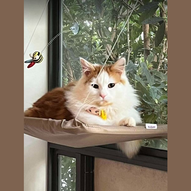 Photo of Cedric