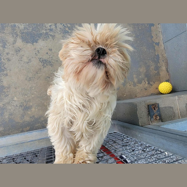 Photo of Molly & Milly