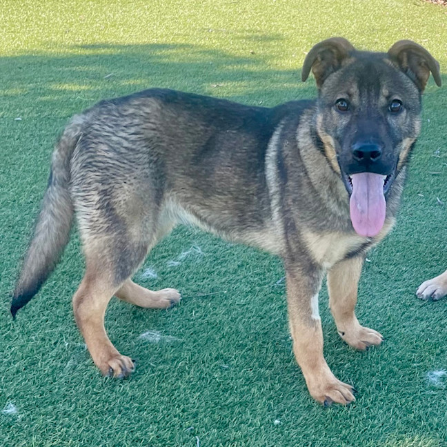 Photo of Sergio