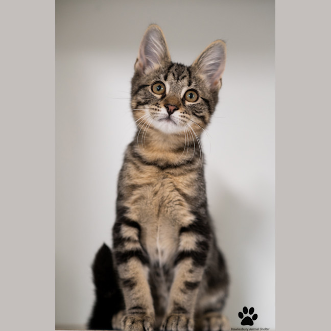 Photo of Tom