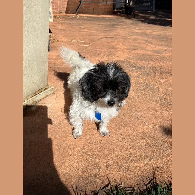 Photo of Missy And May