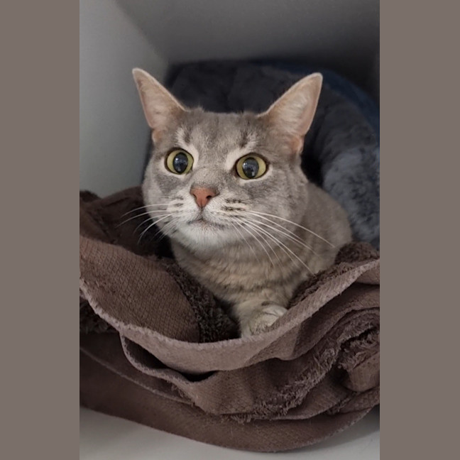 Photo of Tia