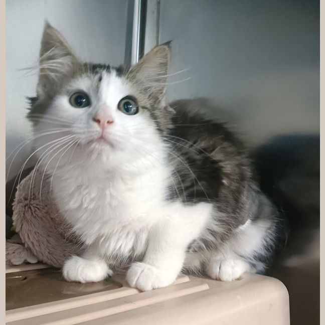 Photo of Elodie