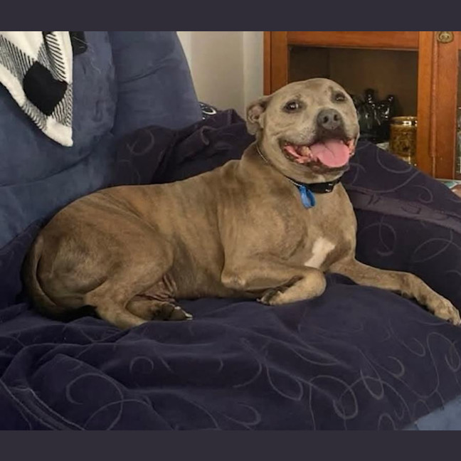 Photo of Riley