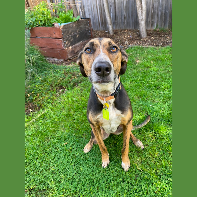 Photo of Lucy