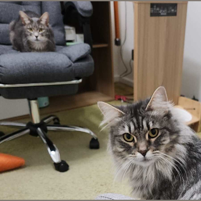 Photo of Charlotte & Scarlett 🌷🌷