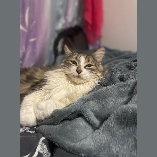 Photo of Suki