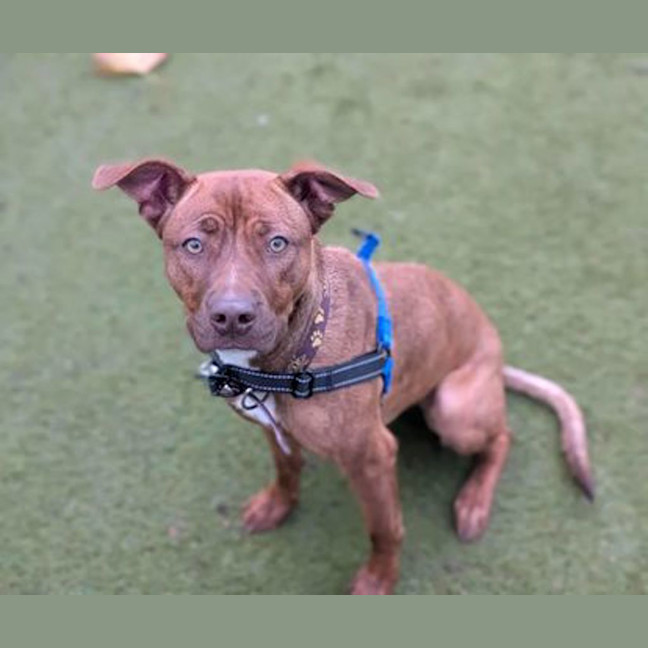 Photo of Roxy