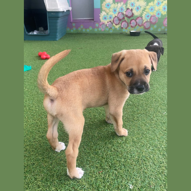 Photo of D1205 Miles