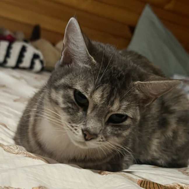 Photo of Angel