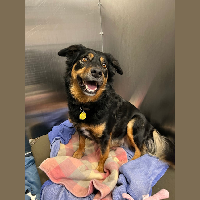 Photo of Millie (Was Gemma)