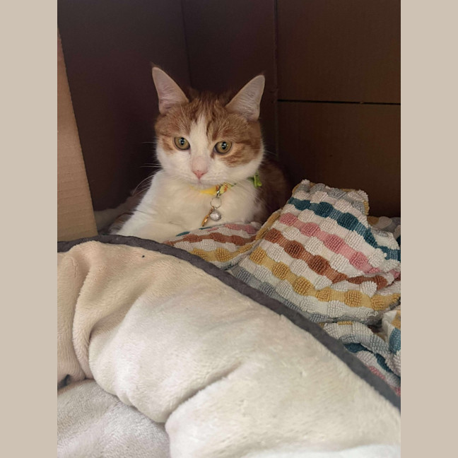 Photo of Edgar (Egg 🥚) 